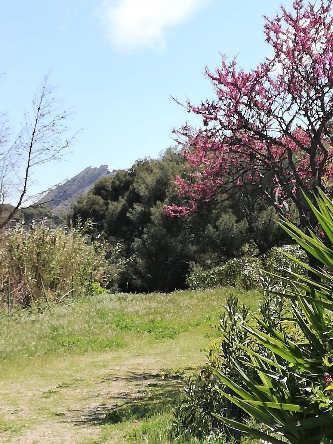 Studio 28M2 Climatise,Wifi, Proche Des Calanques,Plages Ла-Сьйота Екстер'єр фото